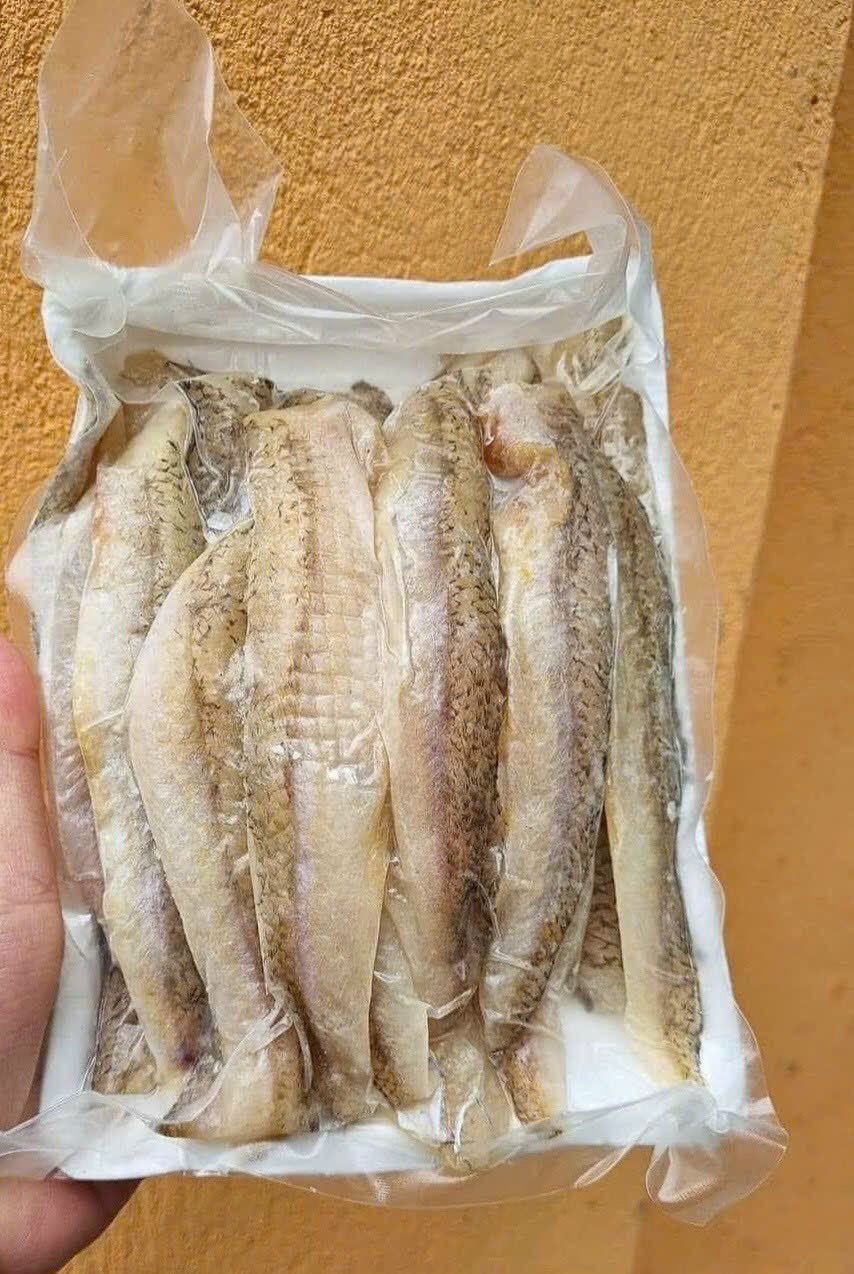 CÁ MỐI PHI LÊ 1 NẮNG 1 kí 